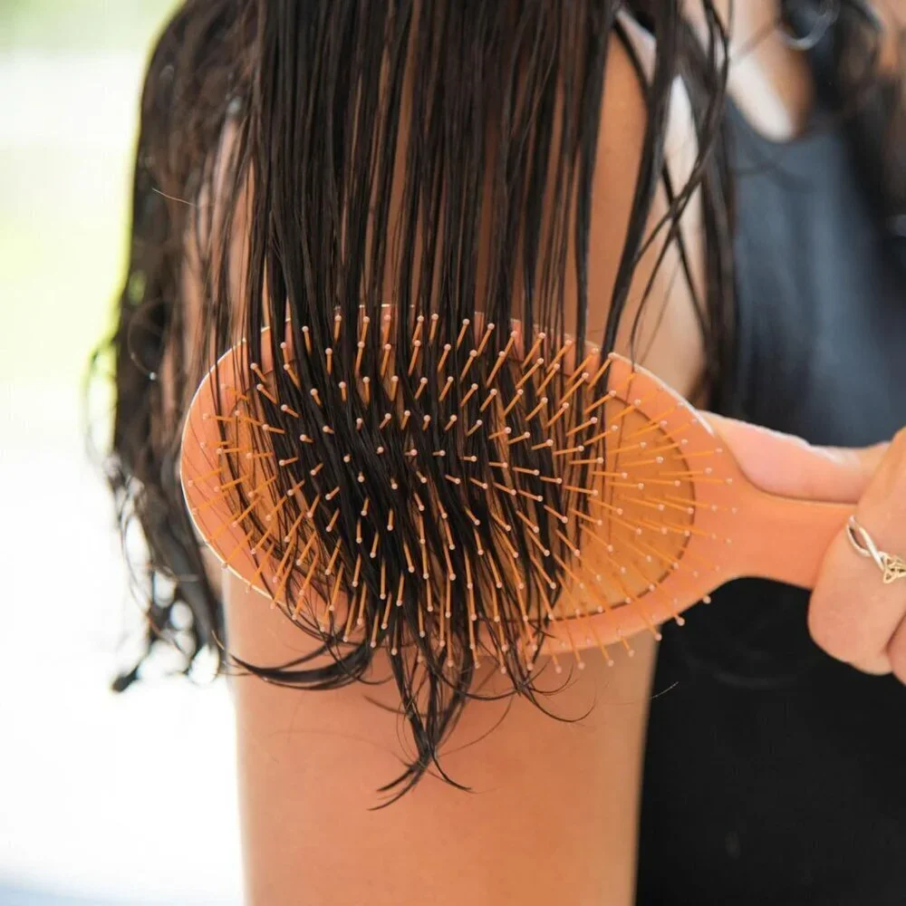 Wet Hair Brush Detangler – Wet Hair Brushes For Women - Premium Hair Brush Clean